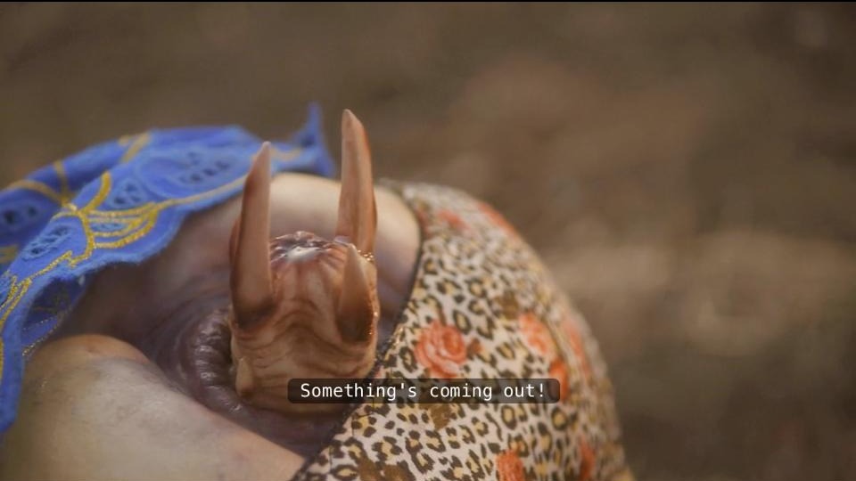 ASSWORMNOPE