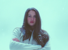 White-Bird-in-a-Blizzard-dreams